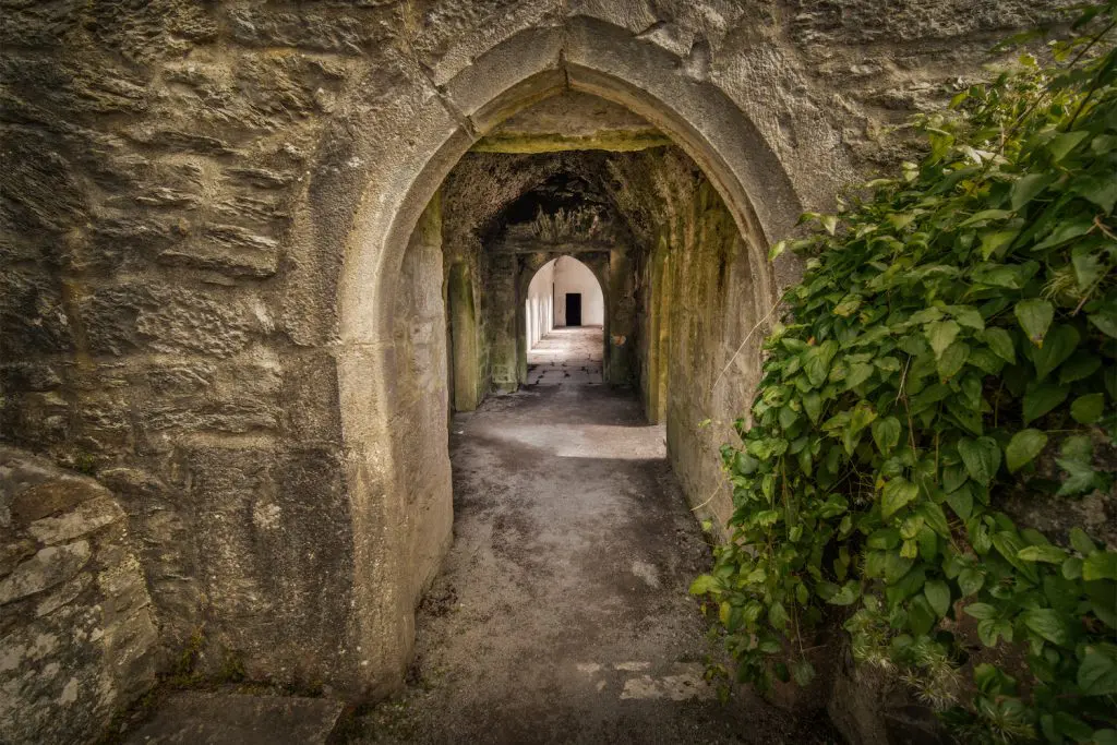 An arched cobblestone corridor with a floor of packed dirt reaches into the distance. Green leafy shrubbery covers the right side of the entryway.