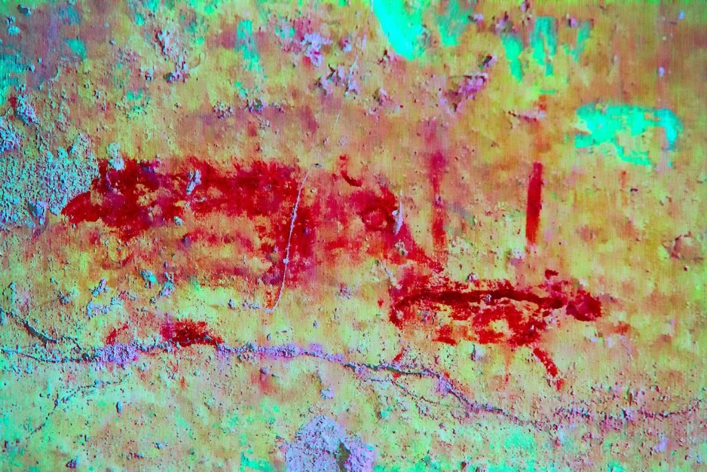 A digitally altered image on a tomb wall reveals two pigs with bright green and light purple patches surrounding them.