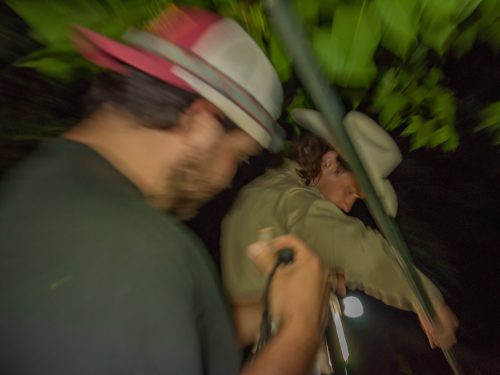 A blurry photo shows two men hunting at night. One, wearing a baseball cap, holds a flashlight, while the other, wearing a cowboy hat, holds a long stick.