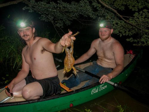 Two shirtless men wearing headlamps sit in a canoe. The one in front holds a large bullfrog in his hand.