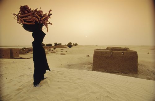 A Songhay man carries firewood in a desert and looks down a sandy hill at a mudbrick hut.