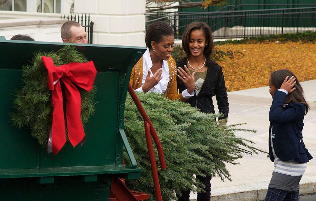 A woman and two girls stand by the back of a green truck hauling a large fir tree. The woman leans over the tree, holding her hands up with her palms facing her, as if she is wafting the scent of the tree toward her.