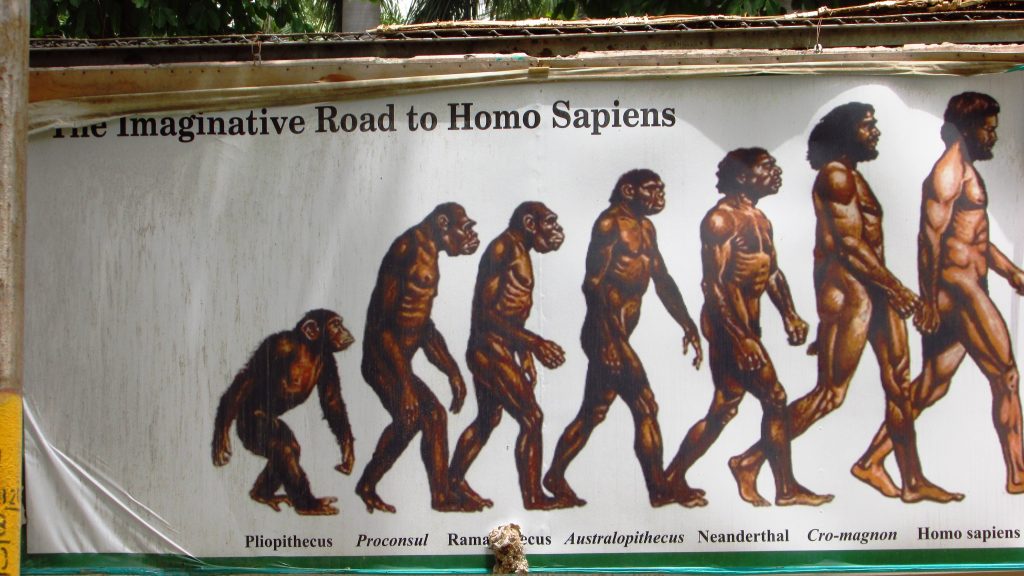 Un cartel muestra siete figuras animadas caminando en fila bajo un texto que dice “El imaginativo camino hacia el Homo Sapiens”. Las figuras aumentan de tamaño desde un pequeño simio a la izquierda hasta un hombre actual a la derecha.