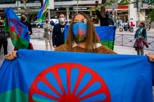 A protestor holds a blue, green, and red patterned flag while wearing a face mask with the same pattern.