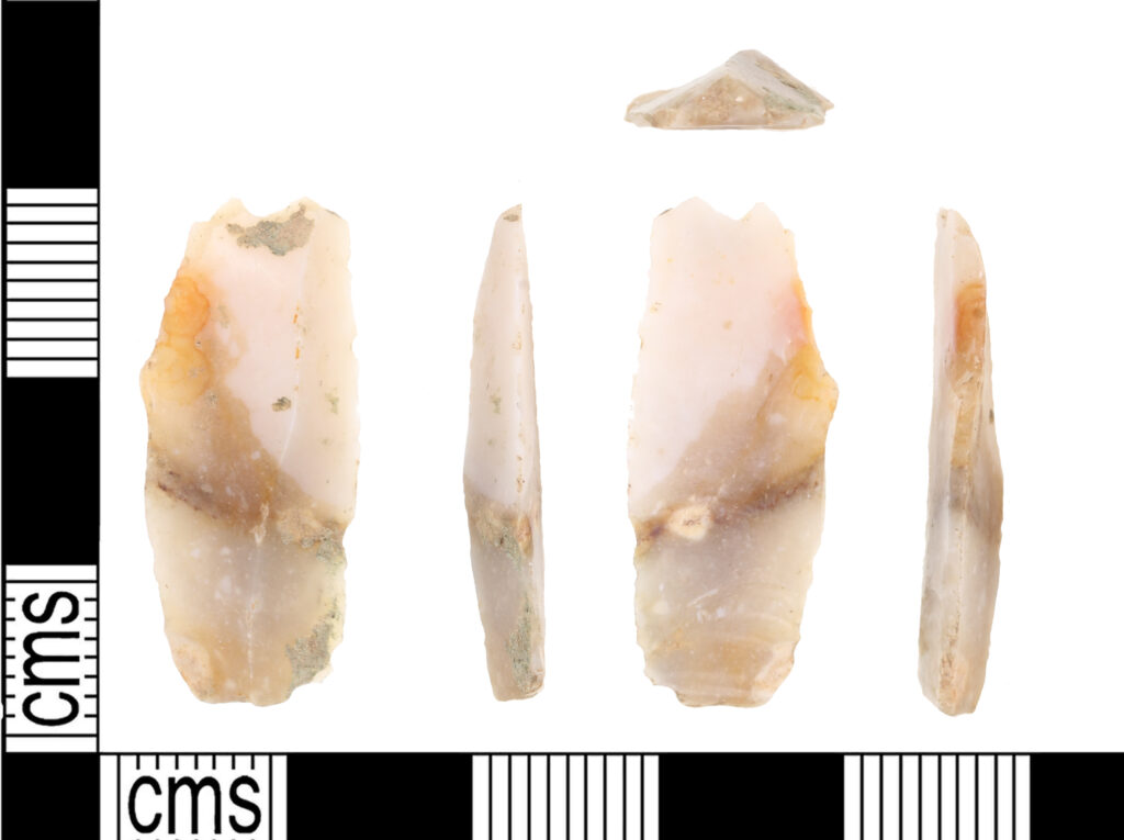 Five flat brown-and-white marbled rocks are arranged against a white background that is framed by black and white lines divided into centimeter measurements.