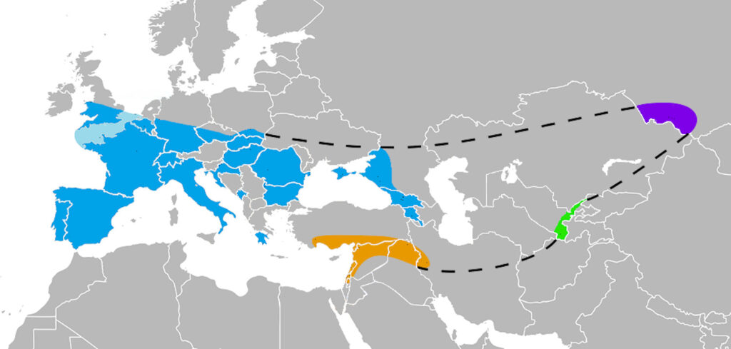A map of Eurasia in gray coloring has highlights for regions where Neanderthal remains have been found.
