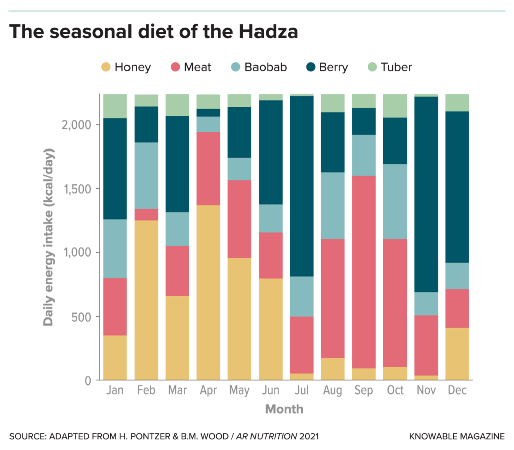 A bar graph—with “month” on the x-axis and “daily energy intake” on the y-axis—has various colors: yellow indicating “honey,” pink indicating “meat,” teal indicating “baobab,” turquoise indicating “berry,” and light-green indicating “tuber.”