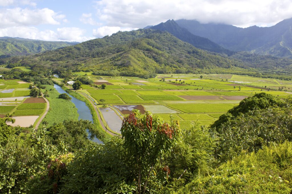 An aerial photograph shows green and brown fields and a river with forested mountains in the distance.