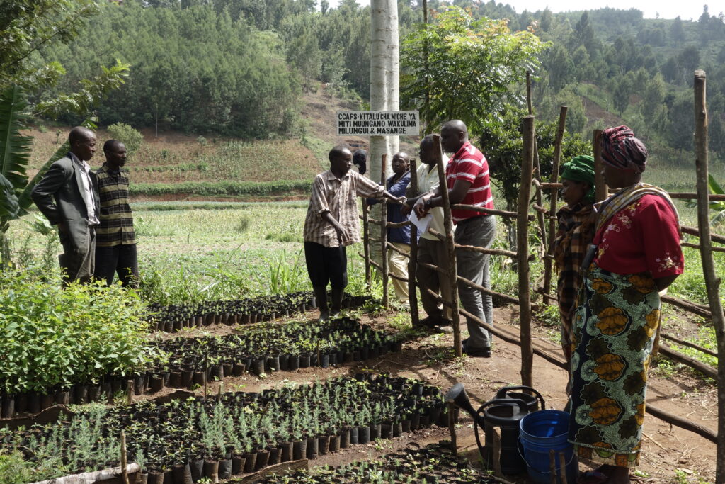 Eight people in casual, patterned clothing stand around a field of crops organized into rows.