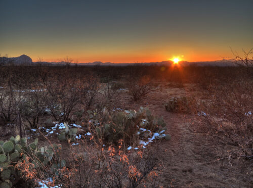 A photograph features a large desert plain scattered with brush and cacti with a sun setting behind a distant horizon lined with mountains.