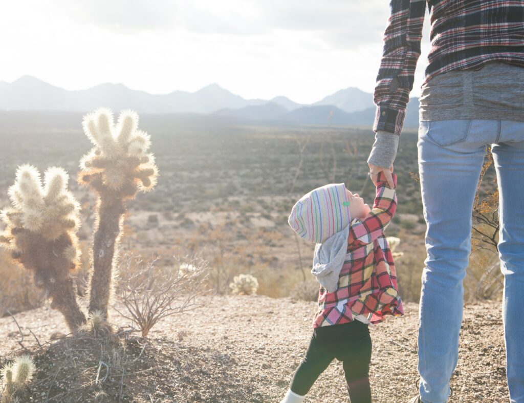 A child wearing a plaid shirt and a beanie looks up and holds the hand of an adult wearing jeans and a plaid shirt but whose head isn’t visible. They stand next to a cholla cactus.