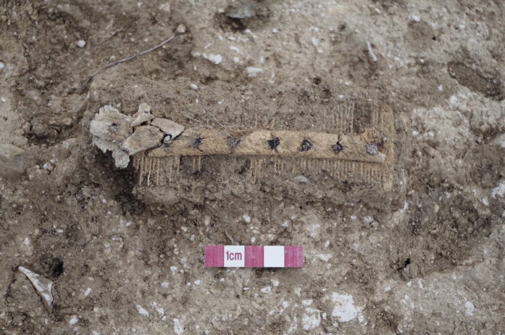 A photograph features an old bone comb on a plot of dirt with a red-and-white–striped centimeter ruler placed under it for measurement.