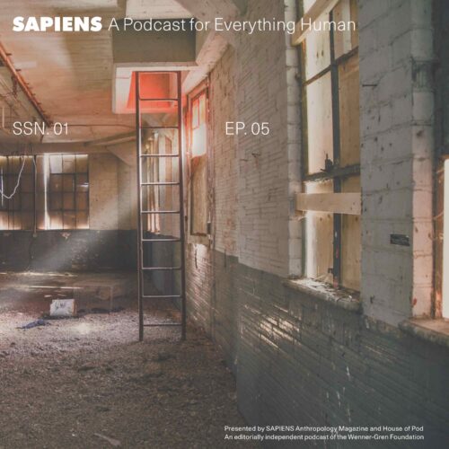 An abandoned industrial space with a dirty floor, broken windows, and a ladder.