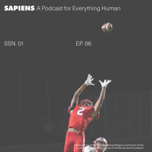 A football player is leaping in the air about to catch a football, during a night game.