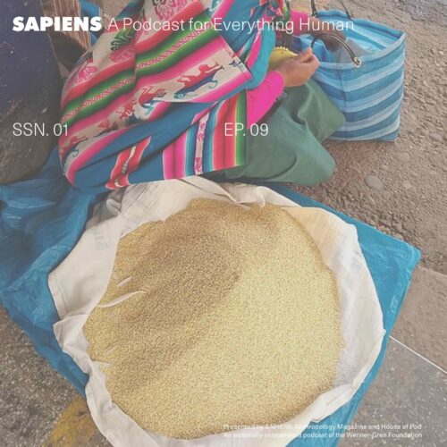 A pile of quinoa sits next to a woman in a multi-colored blanket.