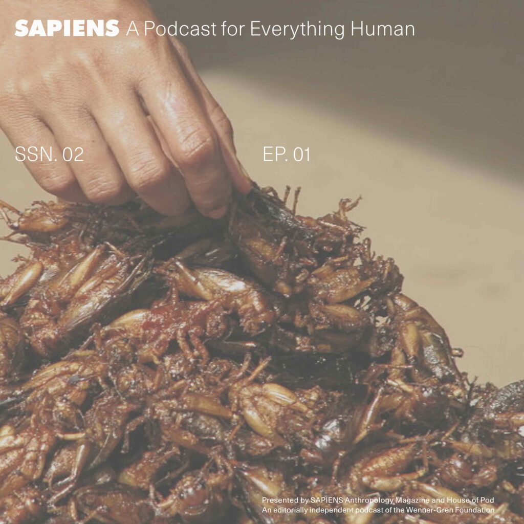 https://www.sapiens.org/app/uploads/2022/11/Sapiens-Podcast-S2E1-1024x1024.jpg