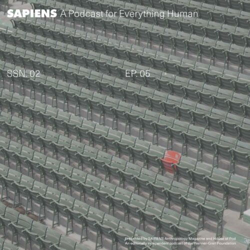 A stadium with rows of identical green seats, with one red seat in the middle of it all.