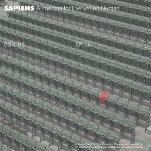 A close up of stadium seating, with all the seats in a uniform gray color and one seat in a bright red.