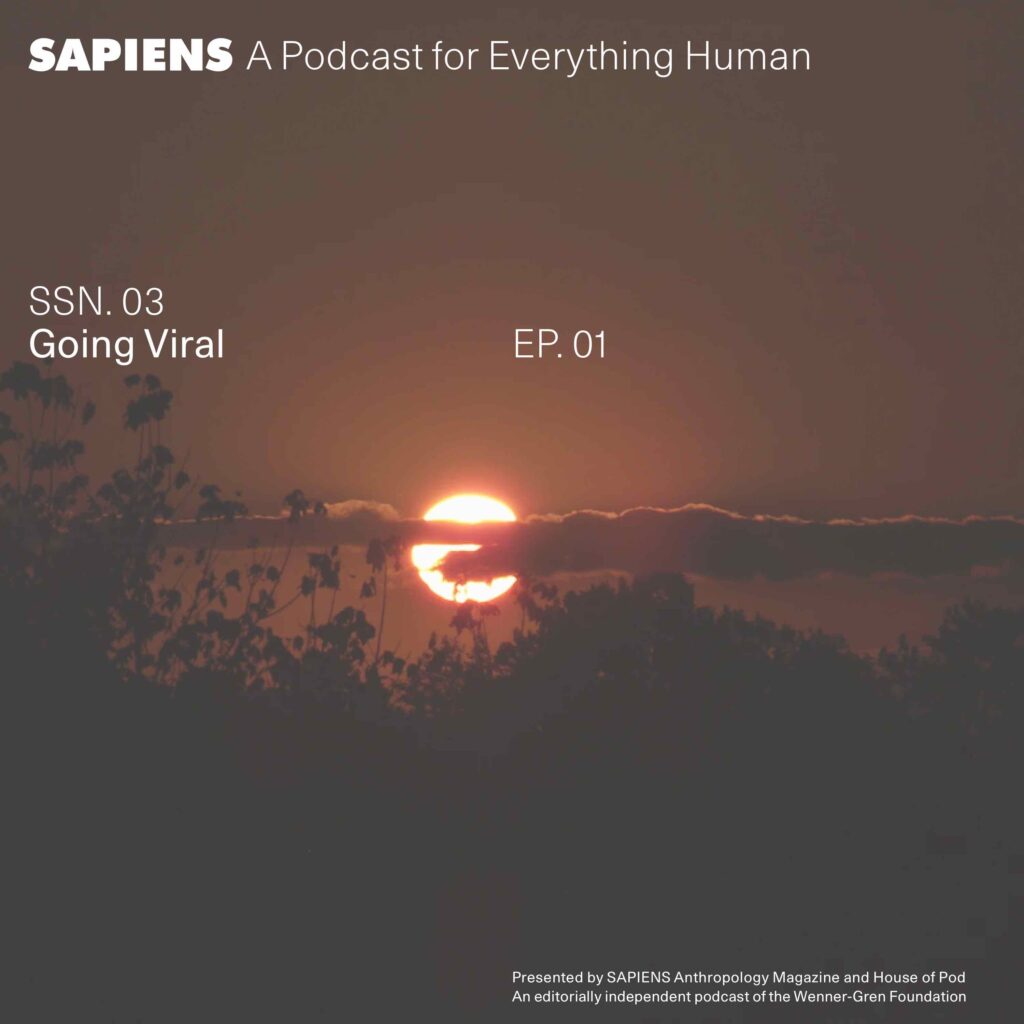 A blood red sun glows behind thin clouds and the treeline.