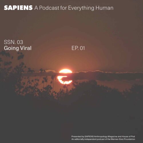 A blood red sun glows behind thin clouds and the treeline.