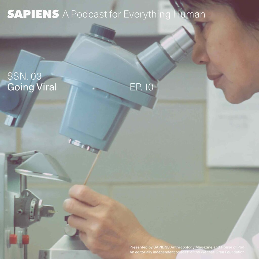 An Asian woman works at a microscope in a lab.