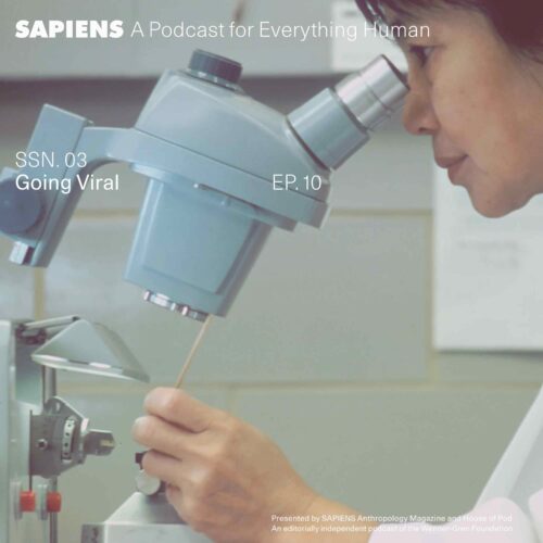 An Asian woman works at a microscope in a lab.