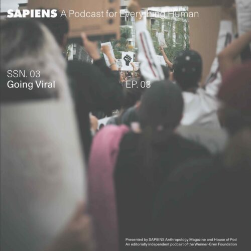 People assemble at a protest holding signs and hands raised, including one in focus that has a print of black fist.