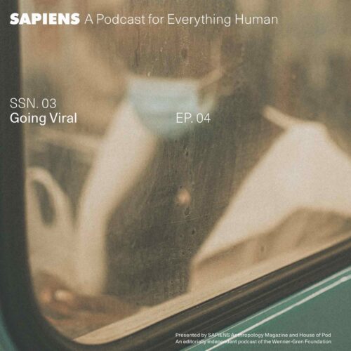 A reflection in a bus window, a Black person wears a surgical mask.