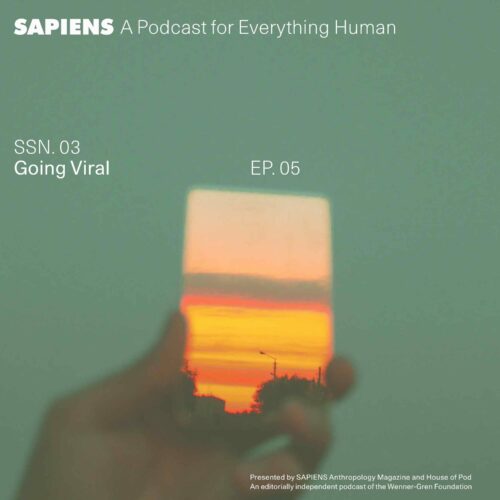 Against a green background, a hand holds up a mirror that shows a bright orange sunset.