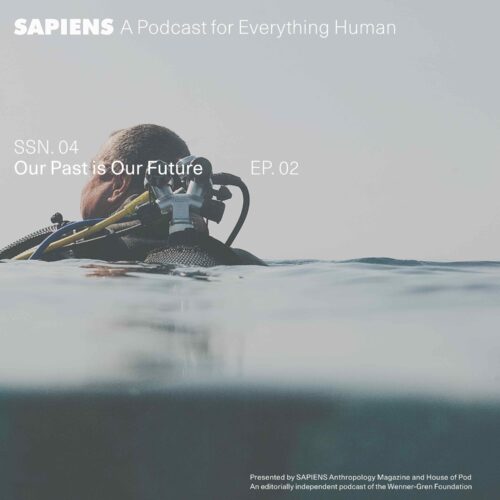 A Black scuba diver can be seen just above the water line.