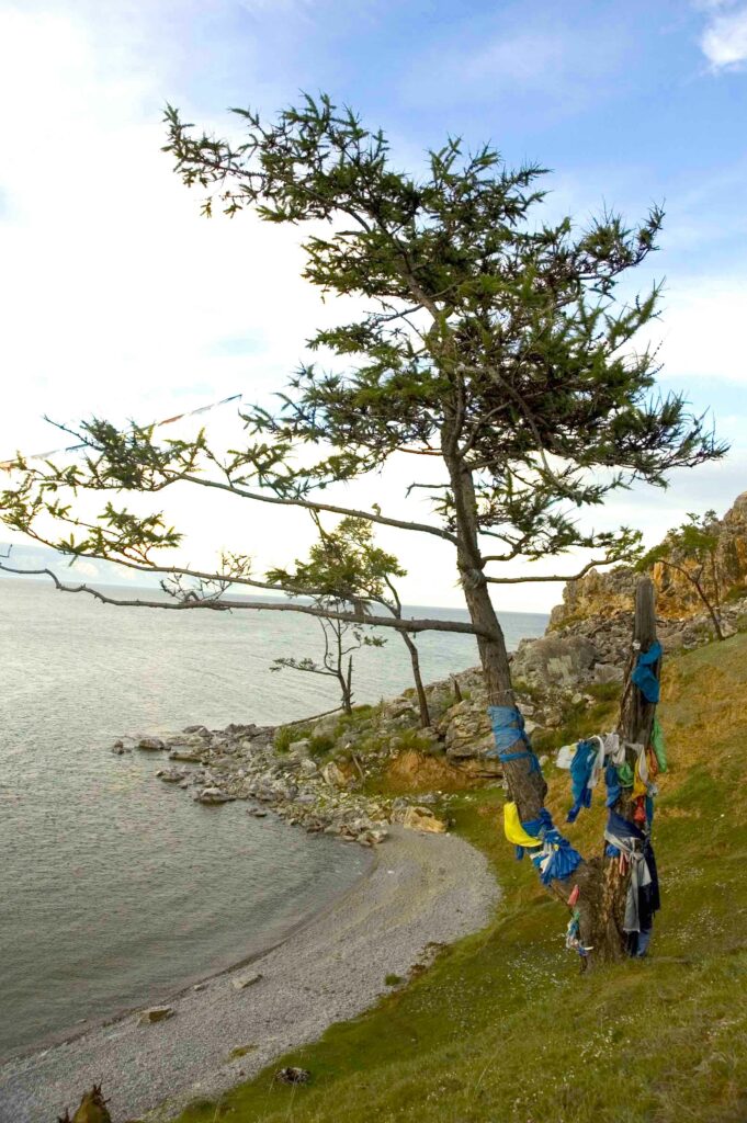 A photograph features a tall tree on a grassy shore with a large body of water flanking it on the left side. The base of the tree’s trunk has numerous pieces of colorful fabric tied around it.