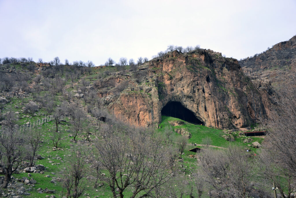 A photograph features a rocky landscape covered with bare trees and green grass in the foreground. A large cave fills much of the background landscape.