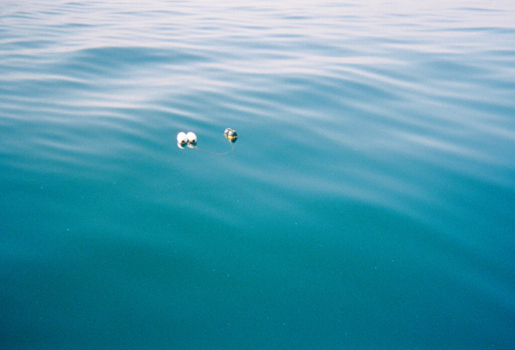 A photograph features blue sea water with three small white buoys floating just above the image’s center.
