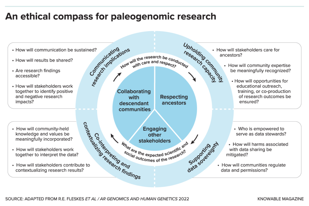 With a header that reads, “An ethical compass for paleogenomic research,” a chart graphic features three concentric circles at its center. The innermost one is blue and divided into equal thirds, the second one out is white with four arrows connecting two questions, and the last one is a lighter blue with dotted lines dividing four phrases. Respectively, the innermost circle’s sections are labeled: “Collaborating with descendent communities,” “Respecting ancestors,” and “Engaging other stakeholders.” The middle circle’s questions read, “How will the research be conducted with care and respect?” and “What are the expected scientific and social outcomes of the research?” The outermost circle’s sections read, “Communicating research implications” “Upholding community research capacity,” “Co-interpreting and contextualizing research findings,” and “Supporting data sovereignty,” each with bullet-point lists of specific questions to ask about the theme. For example, attached to “Supporting data sovereignty” are the questions: “Who is empowered to serve as data stewards?,” “How will harms associated with data sharing be mitigated?,” and “How will communities regulate data and permissions?”
