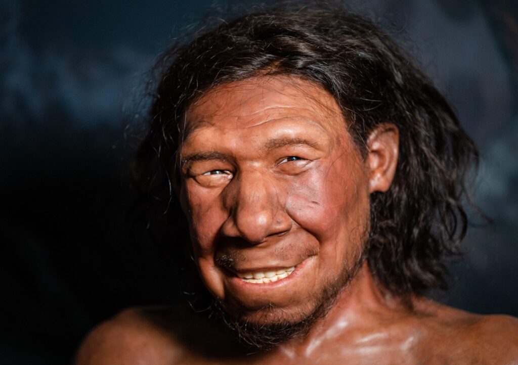 A photo of a hyper-realistic model of a Neanderthal with a slight grin, showcasing detailed facial features such as deep-set eyes, prominent brow ridges, a broad nose, and a strong jaw. The individual has long, dark, and slightly wavy hair, and the lighting casts dynamic shadows across the face, enhancing the lifelike texture of the skin.