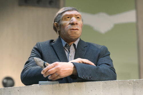 A photograph features a wax figure of a seated person with a large nose and broad jaw wearing a gray collared button-up shirt under a suit jacket of a darker gray shade. Their body is angled left as they look into the distance.