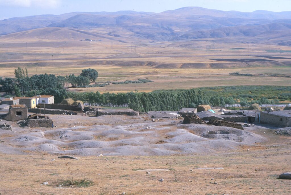 A color photograph features a large plot of gray rubble with a few small buildings to its left and right, a row of green trees just behind, and a mountain range in the background.