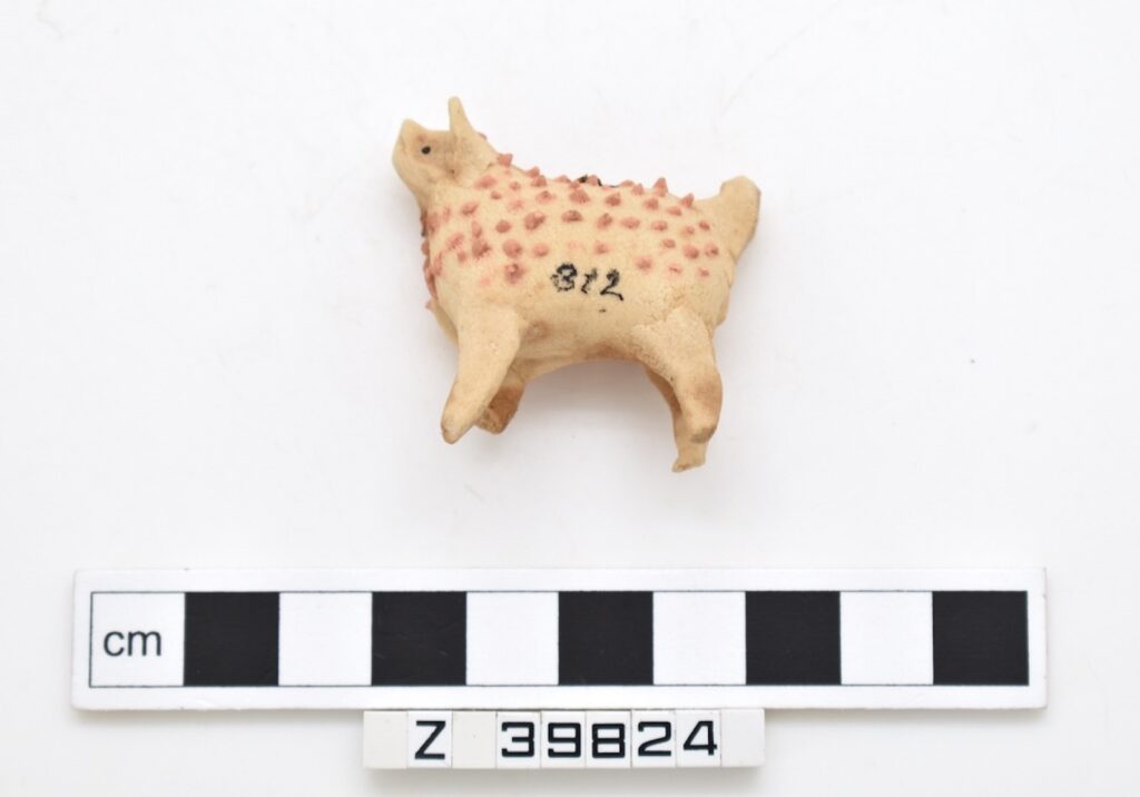 A photograph features a beige, pig-shaped object placed above a black-and-white measurement tool labeled “cm.”