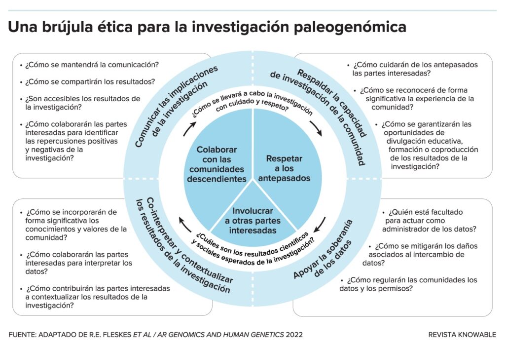 Con un encabezado que reza: “Una brújula ética para la investigación paleogenómica”, un gráfico presenta tres círculos concéntricos en su centro. El más interior es azul y está dividido en tercios iguales, el segundo hacia fuera es blanco con cuatro flechas que conectan dos preguntas, y el último es de un azul más claro con líneas de puntos que dividen cuatro frases. Respectivamente, las secciones del círculo más interior están etiquetadas: “Colaborar con las comunidades descendientes”, “Respetar a los antepasados” e “Implicar a otras partes interesadas”. Las preguntas del círculo central rezan: “¿Cómo se llevará a cabo la investigación con cuidado y respeto?” y “¿Cuáles son los resultados científicos y sociales esperados de la investigación?”. Las secciones del círculo más exterior dicen: “Comunicar las implicaciones de la investigación”, “Mantener la capacidad de investigación de la comunidad”, “Cointerpretar y contextualizar los resultados de la investigación” y “Apoyar la soberanía de los datos”, cada una con listas de viñetas de preguntas específicas para hacer sobre el tema. Por ejemplo, adjuntas a “Apoyar la soberanía de los datos” están las preguntas: “¿Quién está facultado para actuar como administrador de datos?”, “¿Cómo se mitigarán los daños asociados al intercambio de datos?”y “¿Cómo regularán las comunidades los datos y los permisos?”.