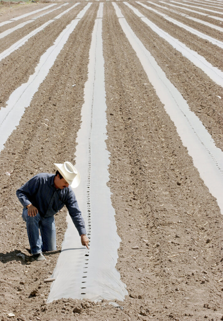 A photograph features a person in a brimmed hat, button-down shirt, and jeans kneeling down and pointing to a hole in a line of cement built into a dirt field.Alfredo Estrella/AFP/Getty Images