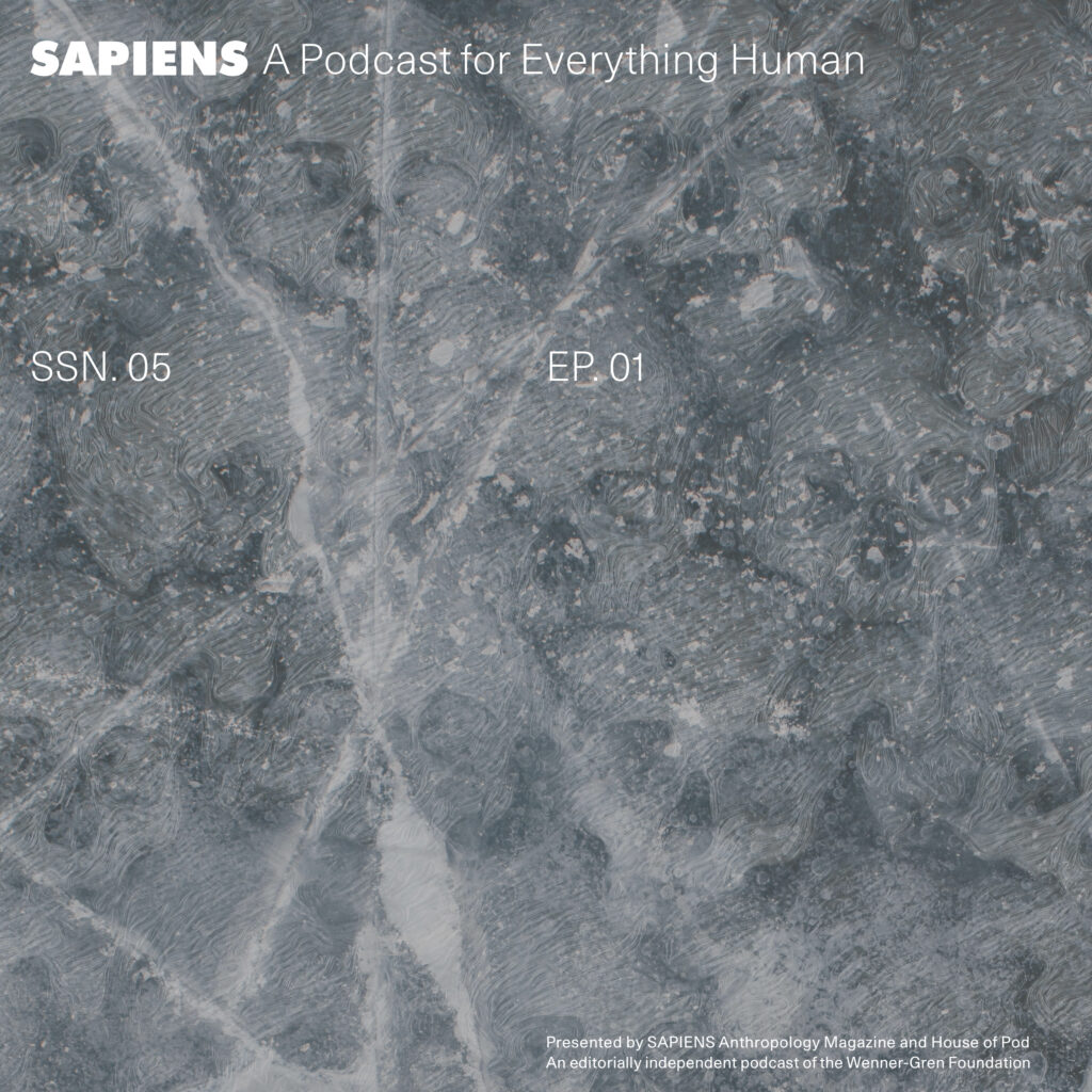 An abstract image of ice cracking with drawings of skulls beneath it.