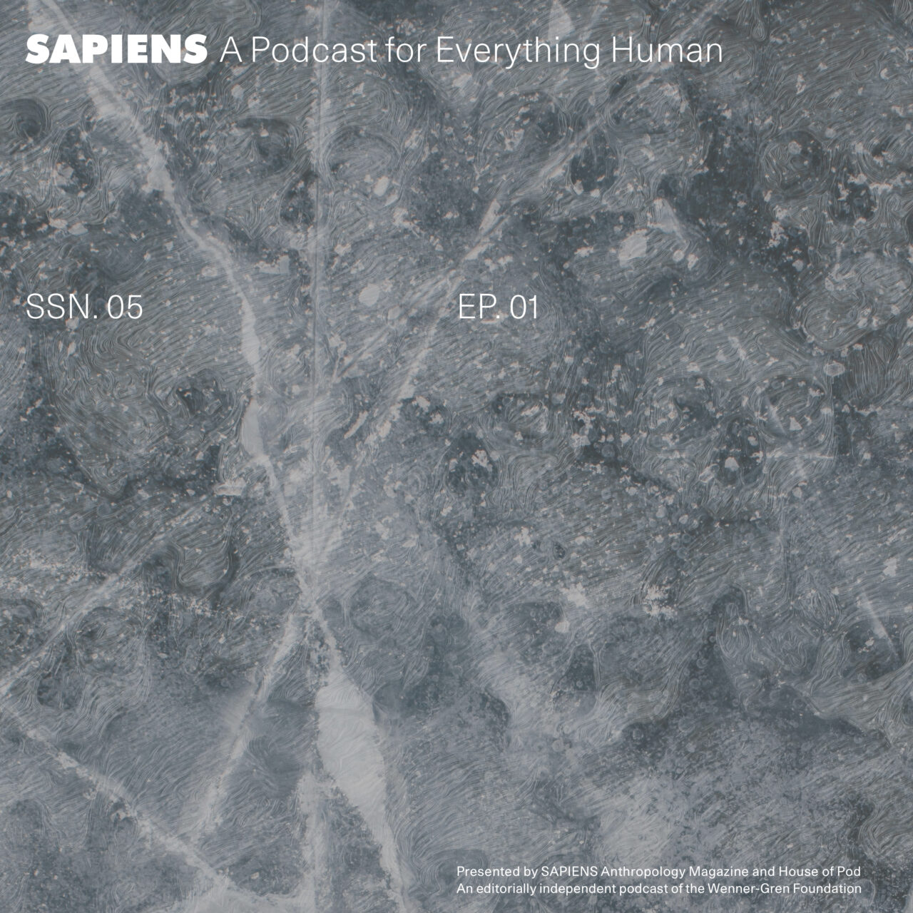 SAPIENS Podcast Episodes – SAPIENS