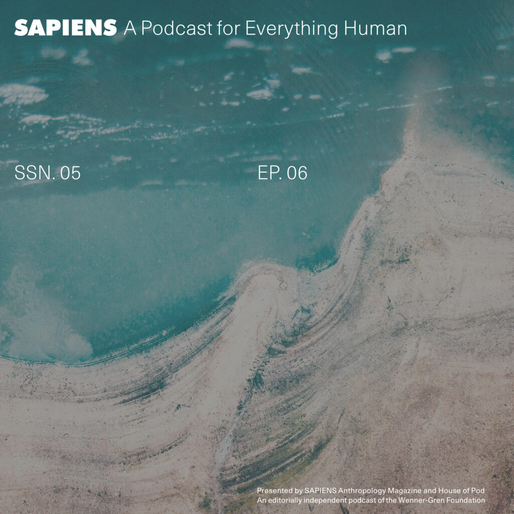 An image of a coastline, where land meets sea, seen from high above.