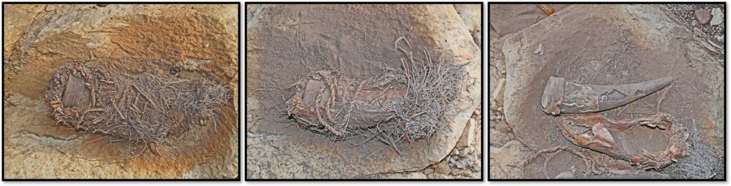 A series of three photographs shows a nest of objects in a dirt mound, each with less covering to reveal items sitting beneath.