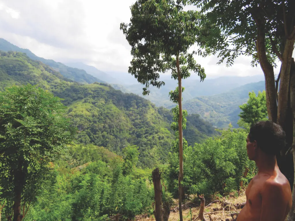 A person on the right of the image looks out at a series of mountains with green trees and foliage.