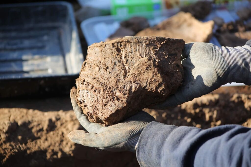 A close-up image features two gloved hands holding a large gray stone covered with soil.