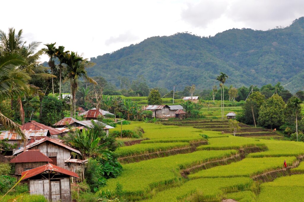 A green landscape of rice paddies covers this image’s foreground. Small wooden buildings with reddish-orange roofs line the left side and tree-covered mountains span the background.