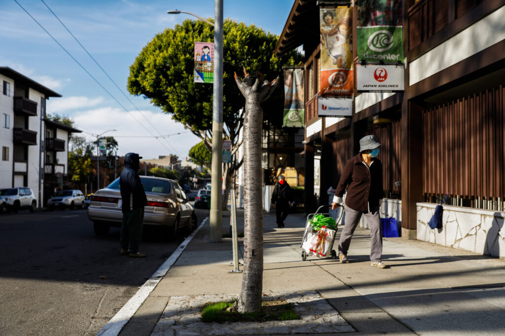 A person wearing a blue facemask pulls a rolling shopping cart down a sidewalk past a tree trunk with its branches chopped off.