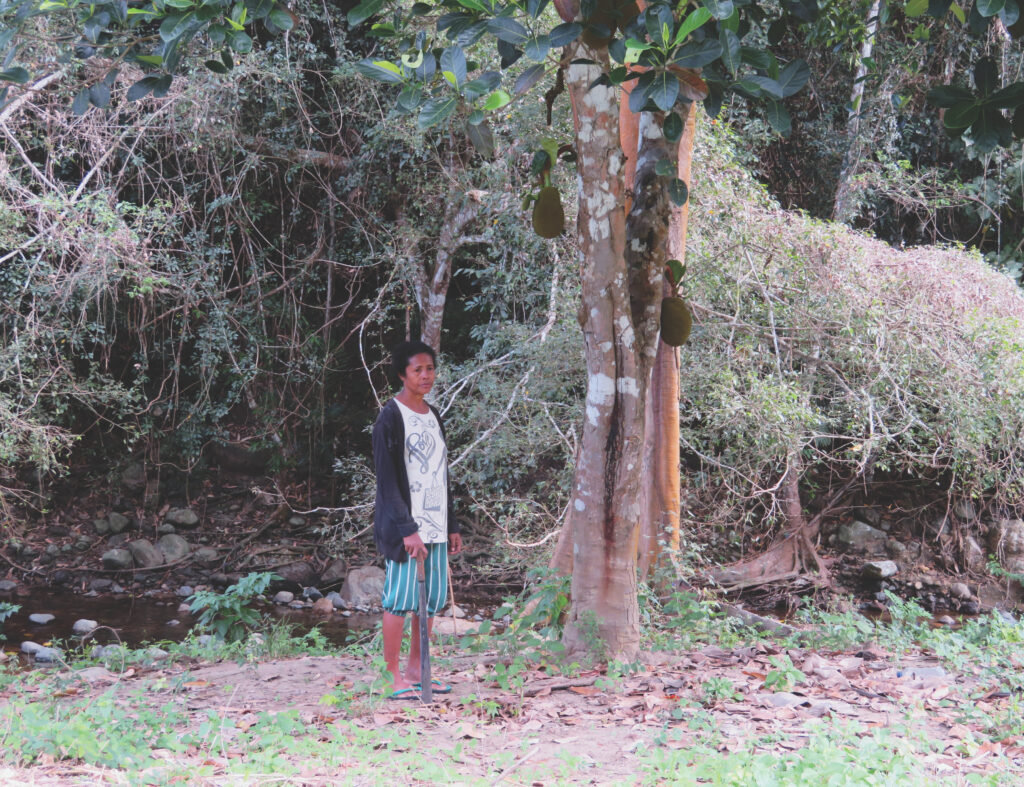 A person wearing a cardigan, shorts, and flip-flops pauses next to a tree in a wooded area.