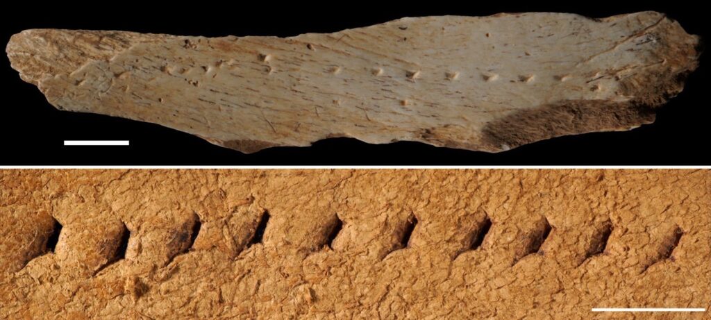 A graphic features two horizontal images stacked on top of one another. The top image is of a long wooden slab with small imprints along it, and the bottom image is of several holes in a row along a piece of leather.